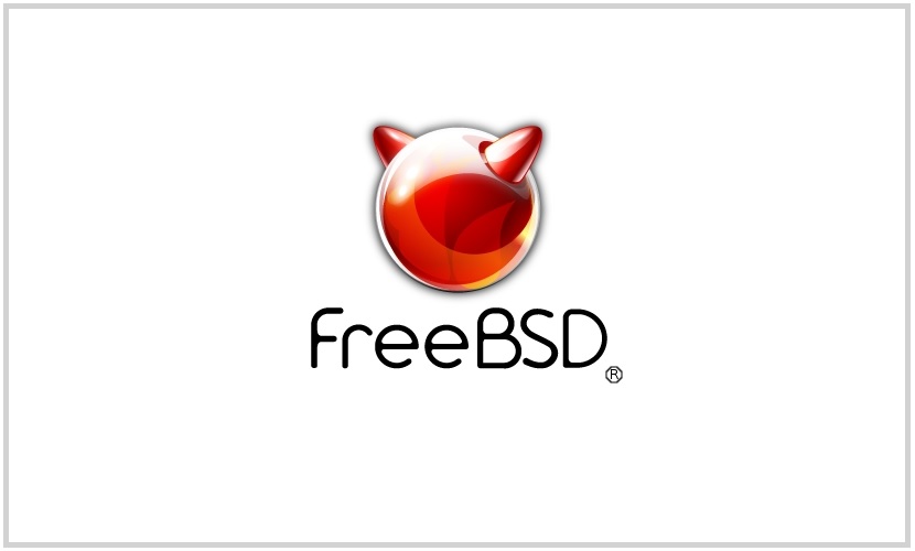 ../../_images/freebsd.jpg